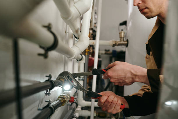 Best Local Plumber Services  in Alondra Park, CA